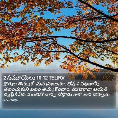2 సమూయేలు 10:12 TELIRV Bible Verse Image