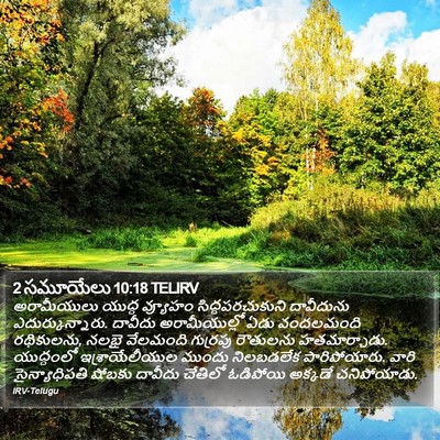 2 సమూయేలు 10:18 TELIRV Bible Verse Image