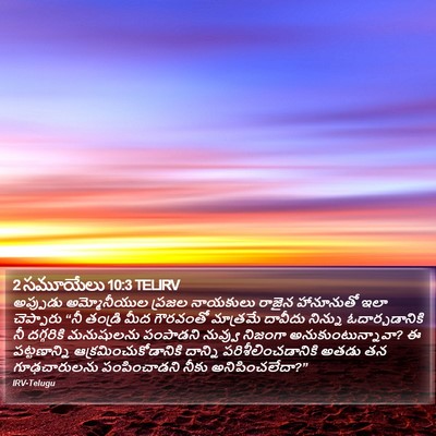 2 సమూయేలు 10:3 TELIRV Bible Verse Image