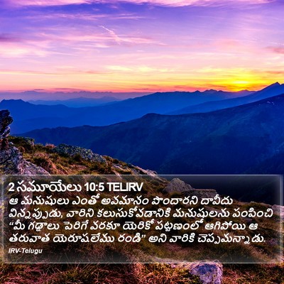 2 సమూయేలు 10:5 TELIRV Bible Verse Image