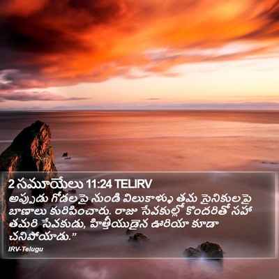 2 సమూయేలు 11:24 TELIRV Bible Verse Image