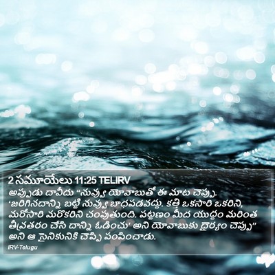2 సమూయేలు 11:25 TELIRV Bible Verse Image