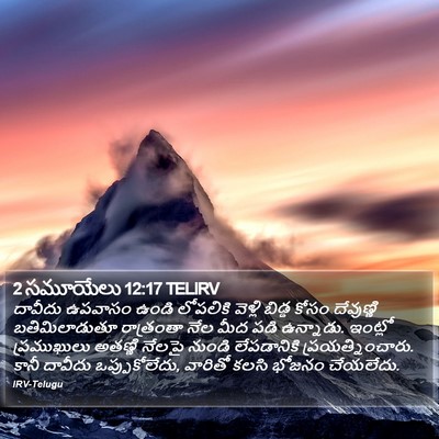 2 సమూయేలు 12:17 TELIRV Bible Verse Image