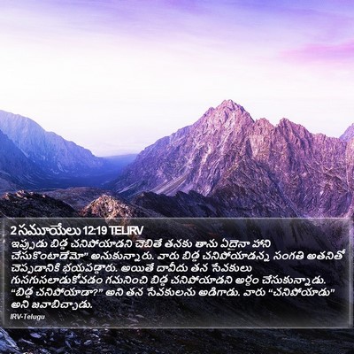 2 సమూయేలు 12:19 TELIRV Bible Verse Image