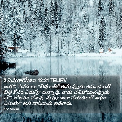 2 సమూయేలు 12:21 TELIRV Bible Verse Image