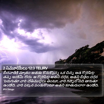 2 సమూయేలు 12:3 TELIRV Bible Verse Image