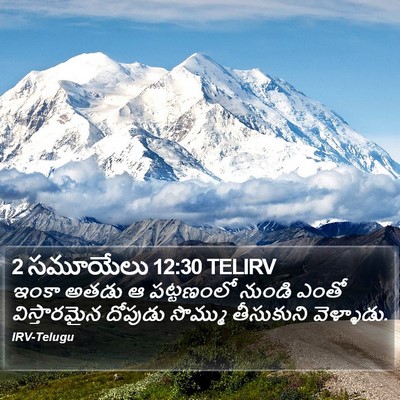 2 సమూయేలు 12:30 TELIRV Bible Verse Image
