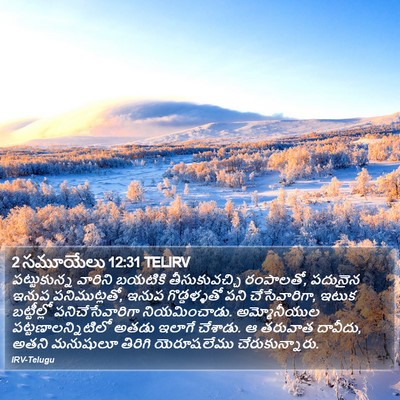 2 సమూయేలు 12:31 TELIRV Bible Verse Image