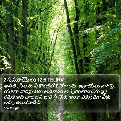 2 సమూయేలు 12:8 TELIRV Bible Verse Image