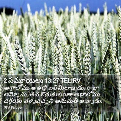 2 సమూయేలు 13:27 TELIRV Bible Verse Image