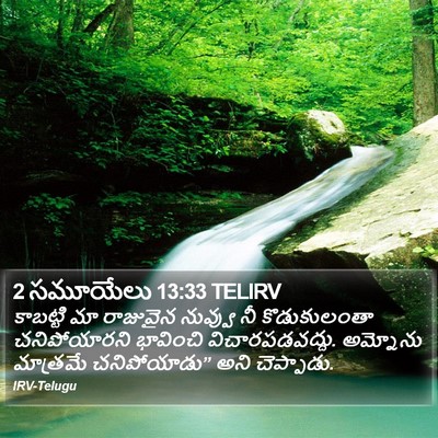 2 సమూయేలు 13:33 TELIRV Bible Verse Image