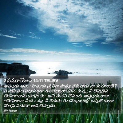 2 సమూయేలు 14:11 TELIRV Bible Verse Image