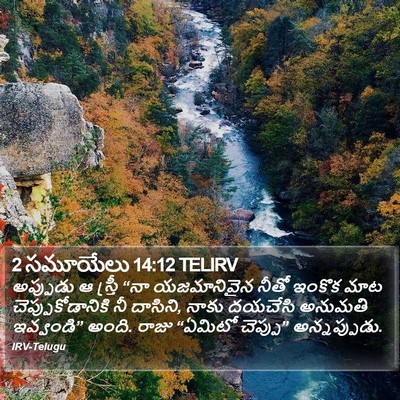 2 సమూయేలు 14:12 TELIRV Bible Verse Image
