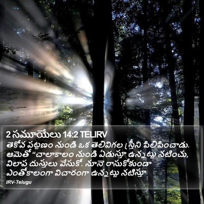 2 సమూయేలు 14:2 TELIRV Bible Verse Image