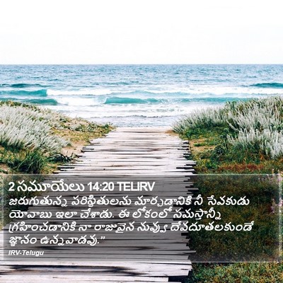 2 సమూయేలు 14:20 TELIRV Bible Verse Image