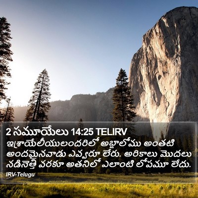 2 సమూయేలు 14:25 TELIRV Bible Verse Image