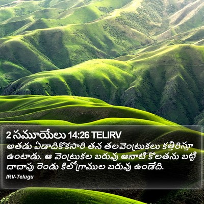2 సమూయేలు 14:26 TELIRV Bible Verse Image