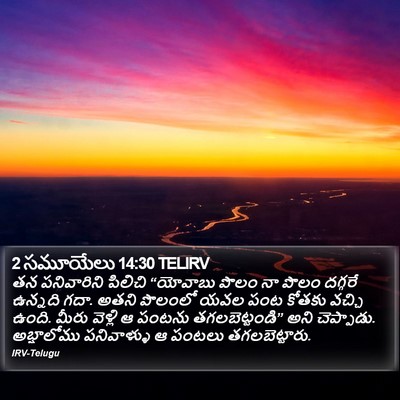 2 సమూయేలు 14:30 TELIRV Bible Verse Image