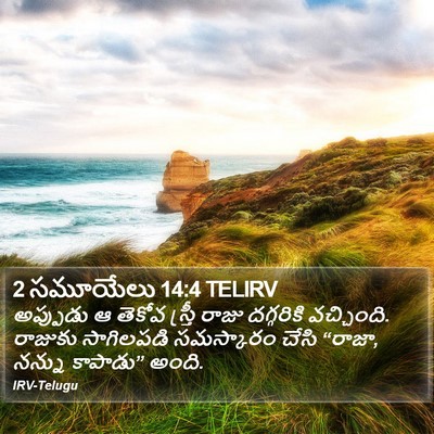 2 సమూయేలు 14:4 TELIRV Bible Verse Image