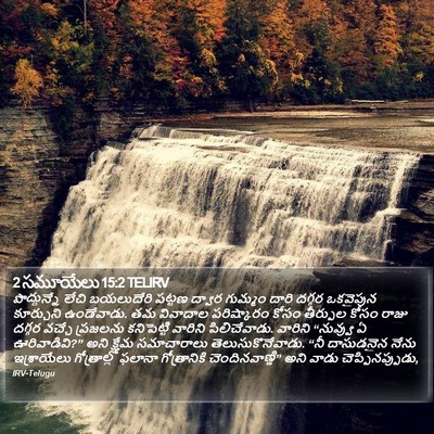 2 సమూయేలు 15:2 TELIRV Bible Verse Image