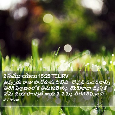 2 సమూయేలు 15:25 TELIRV Bible Verse Image