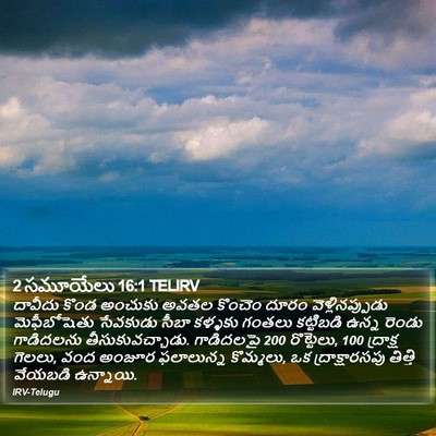 2 సమూయేలు 16:1 TELIRV Bible Verse Image
