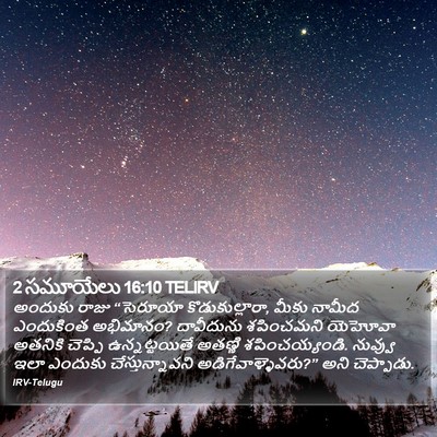 2 సమూయేలు 16:10 TELIRV Bible Verse Image