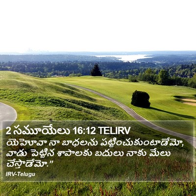 2 సమూయేలు 16:12 TELIRV Bible Verse Image