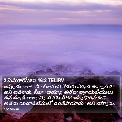 2 సమూయేలు 16:3 TELIRV Bible Verse Image