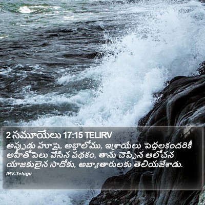 2 సమూయేలు 17:15 TELIRV Bible Verse Image