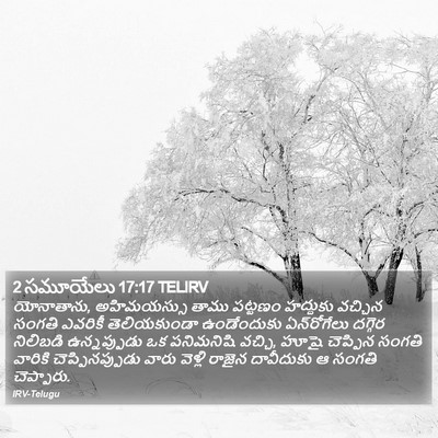 2 సమూయేలు 17:17 TELIRV Bible Verse Image