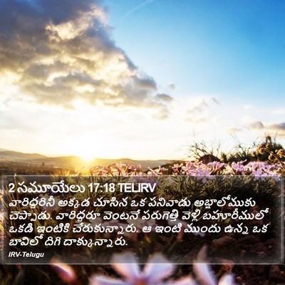 2 సమూయేలు 17:18 TELIRV Bible Verse Image