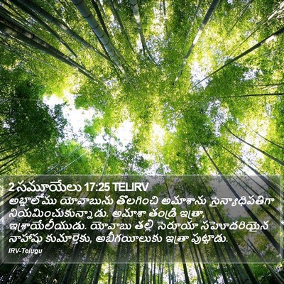 2 సమూయేలు 17:25 TELIRV Bible Verse Image