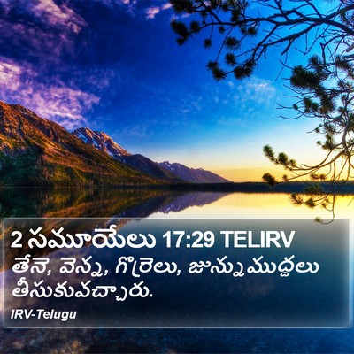 2 సమూయేలు 17:29 TELIRV Bible Verse Image