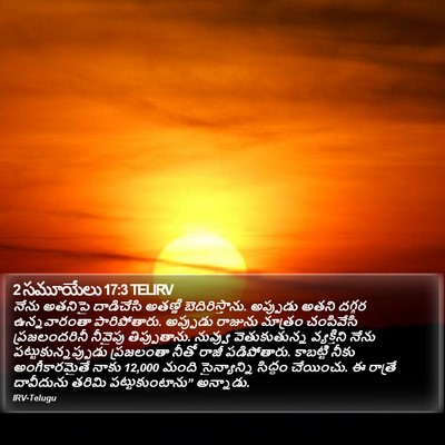 2 సమూయేలు 17:3 TELIRV Bible Verse Image
