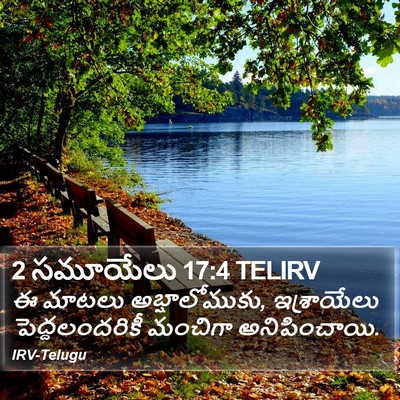 2 సమూయేలు 17:4 TELIRV Bible Verse Image