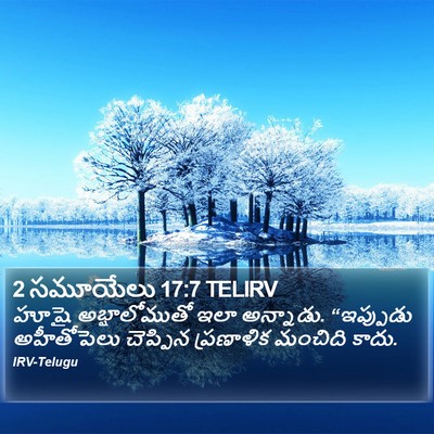 2 సమూయేలు 17:7 TELIRV Bible Verse Image
