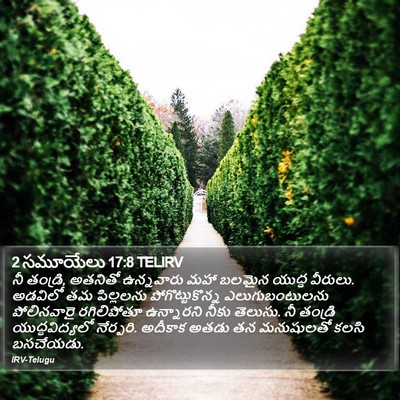 2 సమూయేలు 17:8 TELIRV Bible Verse Image