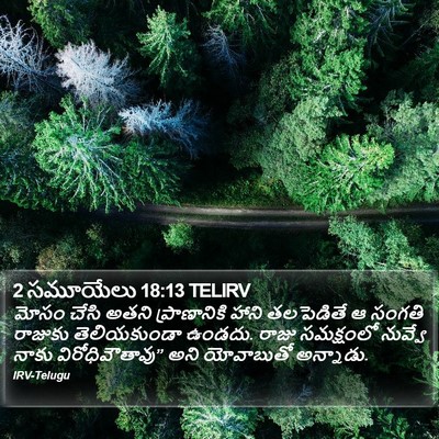 2 సమూయేలు 18:13 TELIRV Bible Verse Image