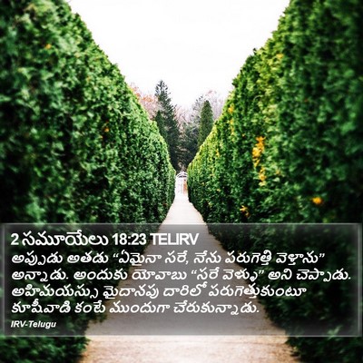 2 సమూయేలు 18:23 TELIRV Bible Verse Image