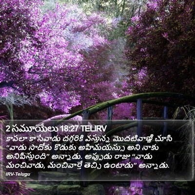 2 సమూయేలు 18:27 TELIRV Bible Verse Image
