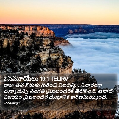 2 సమూయేలు 19:1 TELIRV Bible Verse Image