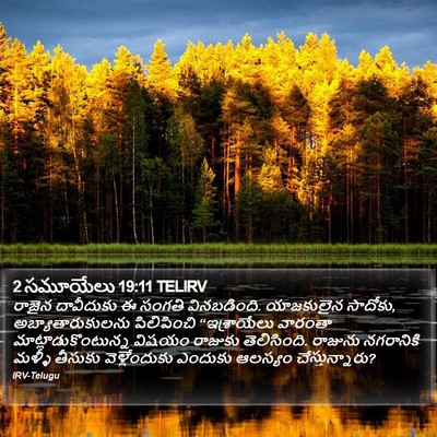 2 సమూయేలు 19:11 TELIRV Bible Verse Image