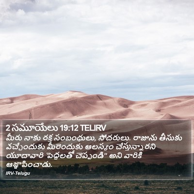 2 సమూయేలు 19:12 TELIRV Bible Verse Image