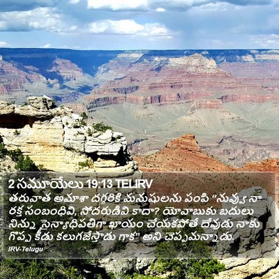 2 సమూయేలు 19:13 TELIRV Bible Verse Image