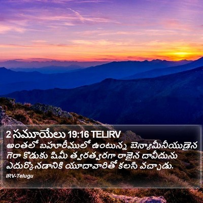 2 సమూయేలు 19:16 TELIRV Bible Verse Image