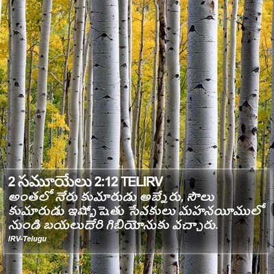 2 సమూయేలు 2:12 TELIRV Bible Verse Image