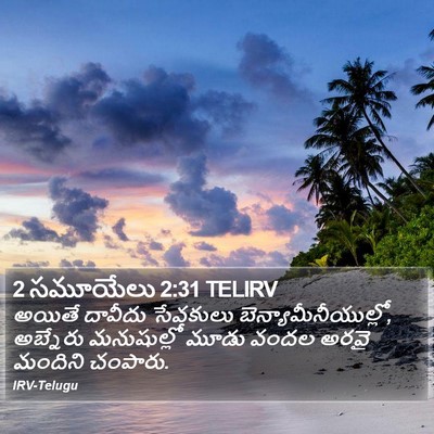2 సమూయేలు 2:31 TELIRV Bible Verse Image