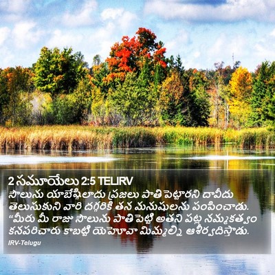 2 సమూయేలు 2:5 TELIRV Bible Verse Image