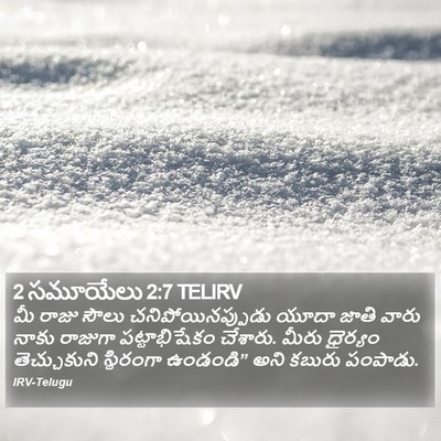 2 సమూయేలు 2:7 TELIRV Bible Verse Image